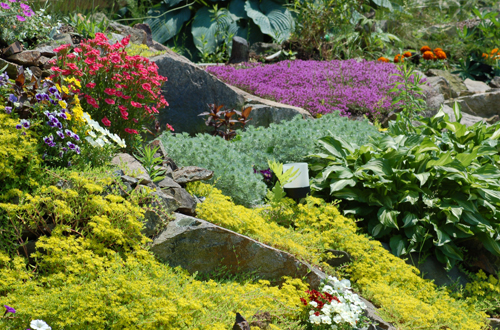 alpine_garden_14