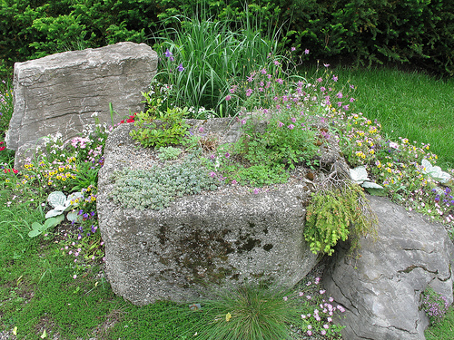 alpine_garden_7